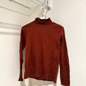 Everlane Terracotta Turtleneck Top